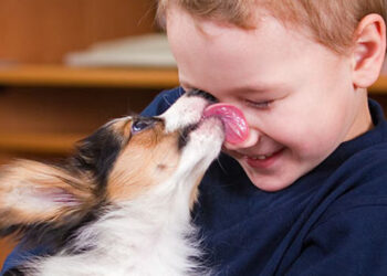 ¿Su perro lo lame?: Enfermedades de la saliva canina