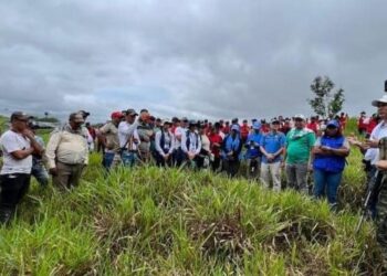 Liberan a 66 militares retenidos en zona de disidencias de las FARC en Colombia