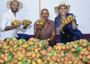 Exitosa jornada: Agricultores vendieron más de $50 millones con las canastas campesinas de la Alcaldía