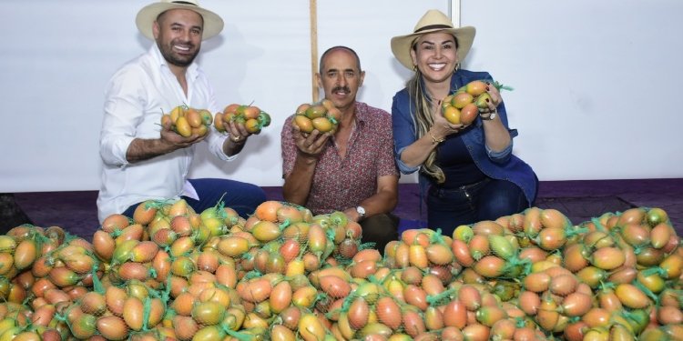 Exitosa jornada: Agricultores vendieron más de $50 millones con las canastas campesinas de la Alcaldía