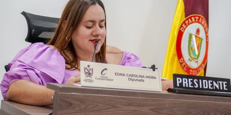 Aprobado en primer debate armonización del plan de desarrollo departamental 