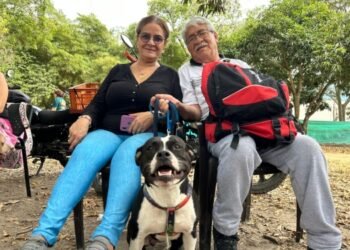 Así puede agendar su cita para esterilizar a su perro o gato