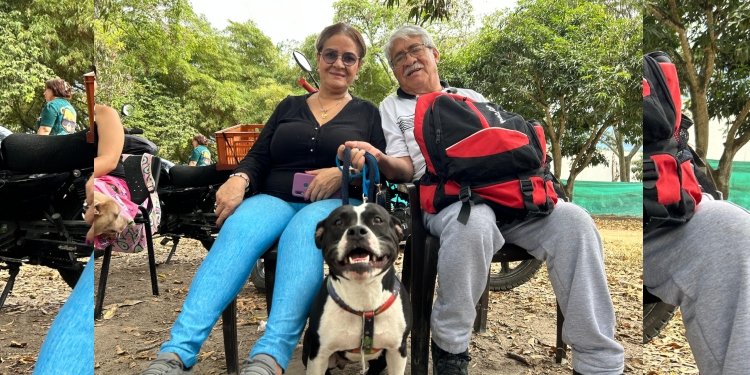 Así puede agendar su cita para esterilizar a su perro o gato