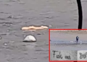 Menor de edad fue hallada desmembrada en el Río Coello