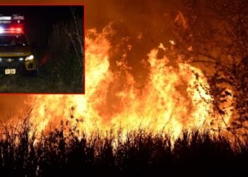 Bomberos de Ibagué apagaron incendio en la variante