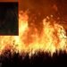 Bomberos de Ibagué apagaron incendio en la variante
