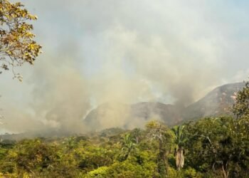 Más de 20 incendios forestales han sido atendidos en la última semana en el Tolima 
