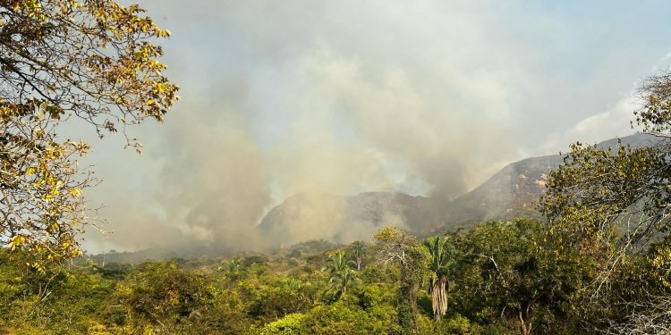 Más de 20 incendios forestales han sido atendidos en la última semana en el Tolima