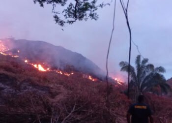 Cortolima alerta por altas temperaturas en el departamento 