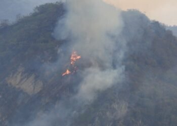 Alerta de Cortolima por aumento de temperaturas e incendios forestales 