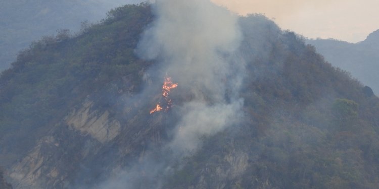 Alerta de Cortolima por aumento de temperaturas e incendios forestales
