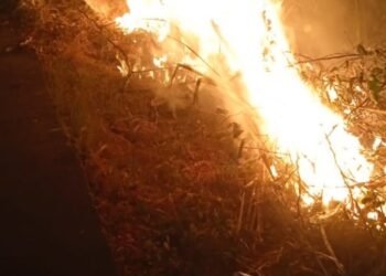 Incendio por poco consume una casa en Melgar 