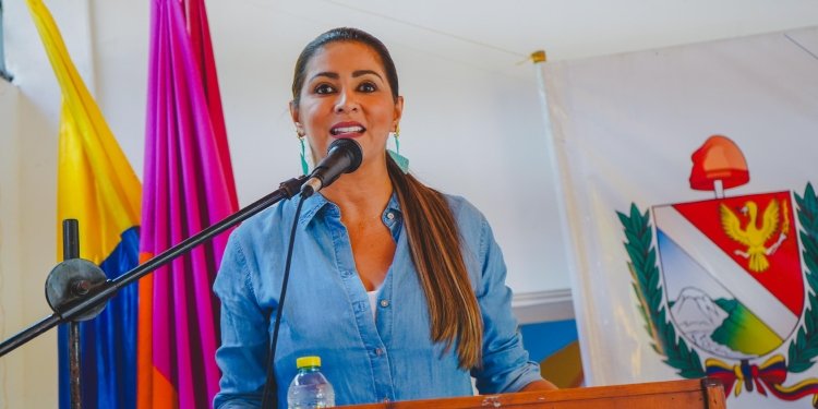 Gobernadora del Tolima reacciona enérgicamente por amenazas a varios diputados en la Asamblea 