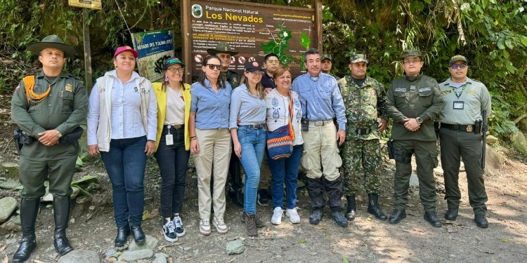 Departamentos con influencia en el parque natural de los nevados que intensifican estrategias para proteger este ecosistema 