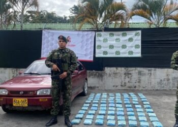 Importante cargamento de marihuana fue incautado por tropas del Ejército en el sur del Tolima 
