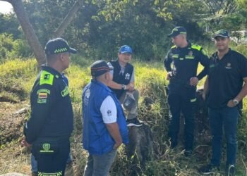 Desalojaron predio que habían invadido en el barrio La Cartagenita