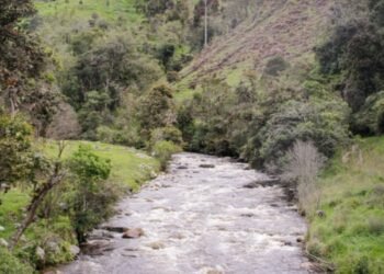 Autoridades invitan a fortalecer el cuidado del agua en el Tolima 