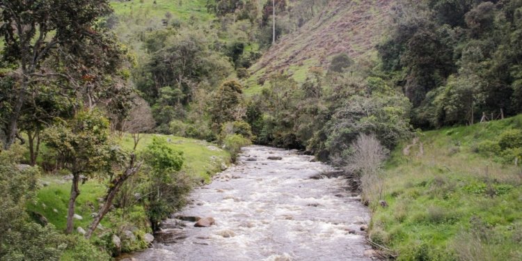 Autoridades invitan a fortalecer el cuidado del agua en el Tolima 
