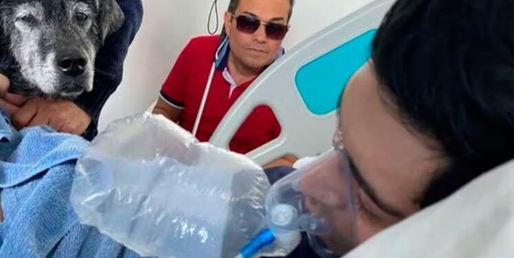 En Clínica de Manizales hombre se reencuentra con su perrito antes de fallecer