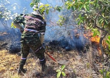 Controlado incendio forestal en Alpujarra 