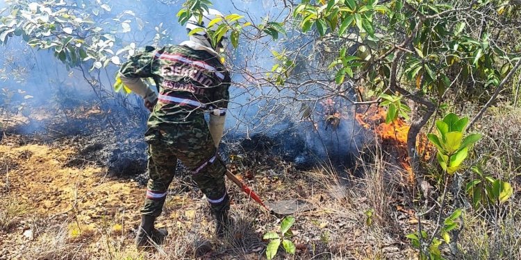 Controlado incendio forestal en Alpujarra 