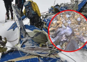 Tiktoker encuentra restos humanos en el Nevado del Huila, posibles víctimas de un accidente aéreo de 1995