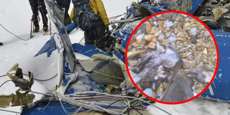 Tiktoker encuentra restos humanos en el Nevado del Huila, posibles víctimas de un accidente aéreo de 1995