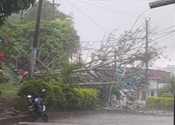 Barrios inundados y viviendas afectadas durante el aguacero de este domingo en Ibagué