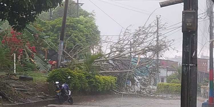Barrios inundados y viviendas afectadas durante el aguacero de este domingo en Ibagué