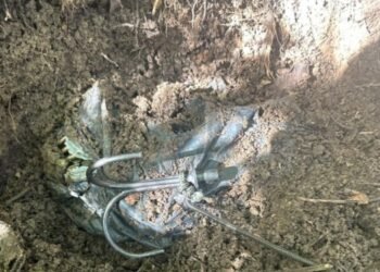 Ejército Nacional destruye 65 artefactos explosivos en el sur del Tolima en ocho meses