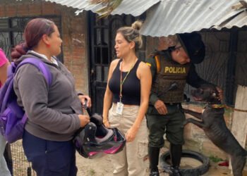 Policía Ambiental rescató a “niña”, una perra de raza pitbull abandonada