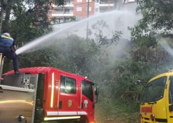 Material vegetal incinerado provocó emergencia en el Parque Centenario de Ibagué