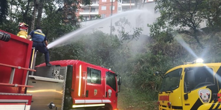 Material vegetal incinerado provocó emergencia en el Parque Centenario de Ibagué