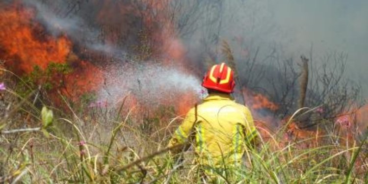 Autoridades y Comunidades Indígenas logran controlar incendio parcialmente en Natagaima
