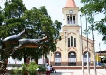 En recuperación madre e hijo apuñalados en su residencia en Venadillo