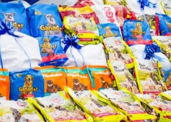 Gobierno departamental reafirma sus compromisos con las organizaciones productoras y defensoras de los derechos de los animales