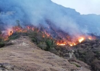 Gobierno Departamental toma medidas ante escasez de agua e incendios en el Tolima