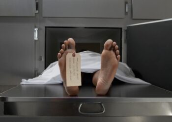 Cuerpo en estado de descomposición fue encontrado en barrio de Purificación