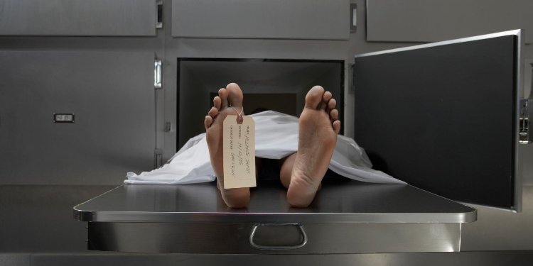 Cuerpo en estado de descomposición fue encontrado en barrio de Purificación