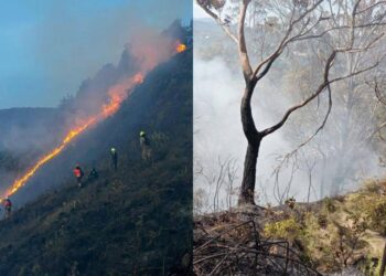 La semana cerró con 16 incendios forestales activos en el Tolima