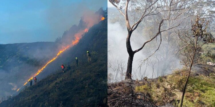 La semana cerró con 16 incendios forestales activos en el Tolima