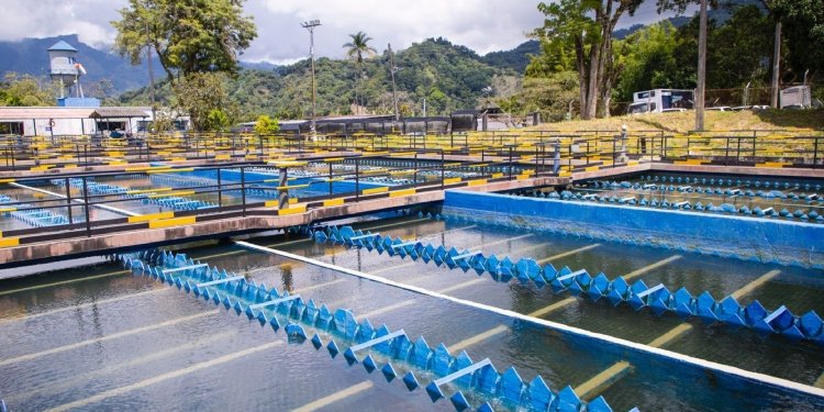 Este domingo no habrá servicio de agua en la comuna Uno