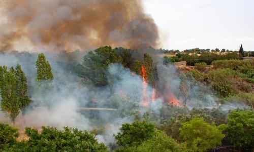 Más de 8000 hectáreas de vegetación se han perdido por incendios forestales en el Tolima