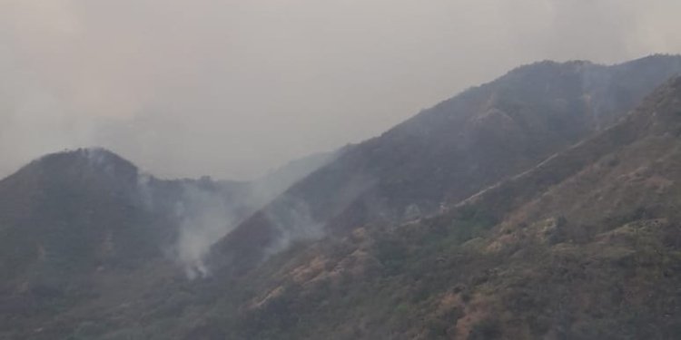 Incendios forestales continúan afectando a Natagaima