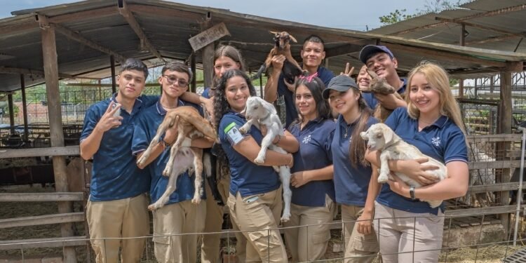 Familia emprendedora del Tolima formó su empresa a punta de leche de cabra