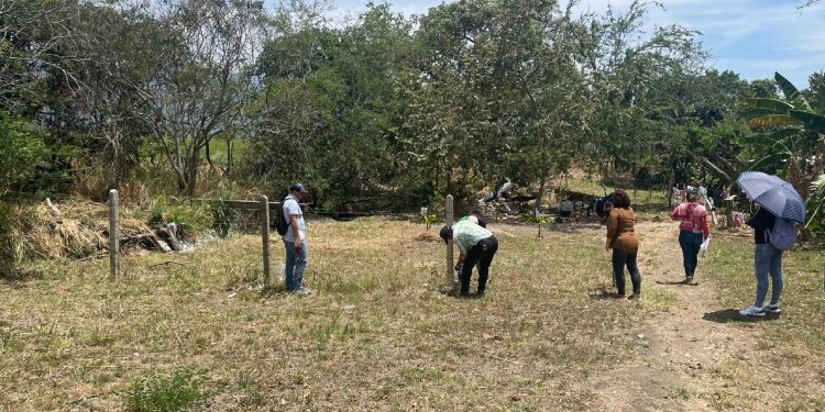 Las autoridades recuperaron un lote que intentaron invadir enseguida de la cárcel de Picaleña