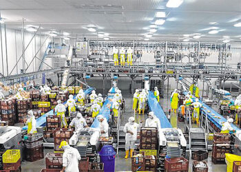 Líbano busca darle reapertura a su planta de beneficio animal