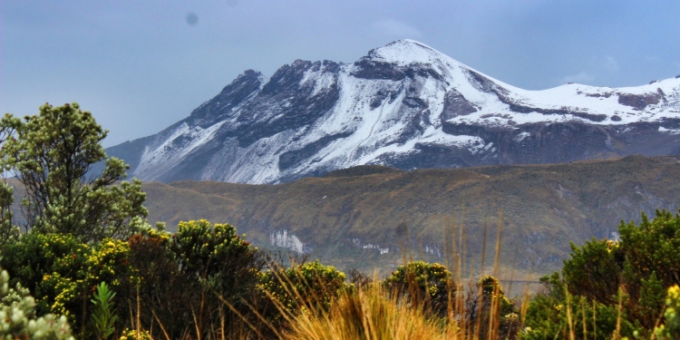 Tribunal superior adelanta revisión de tutela que declara sujeto de derechos al Parque Natural Los Nevados
