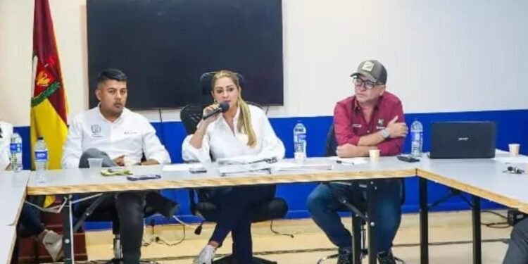 El próximo martes se llevará a cabo el consejo de seguridad en Planadas