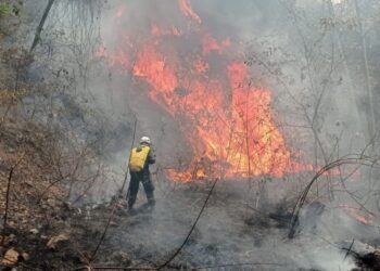 750 familias indígenas afectadas por incendios forestales en Coyaima